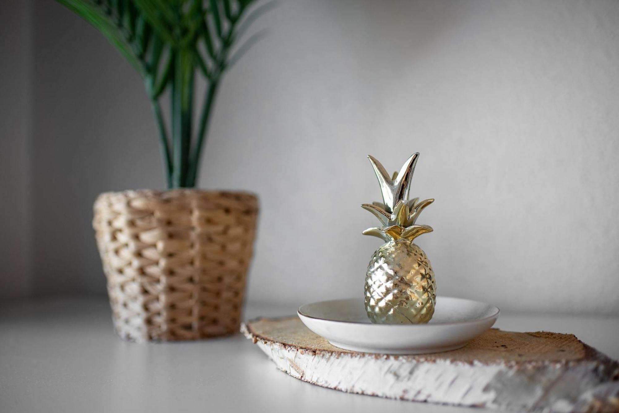 Cosy T2, Terrasse Privee Et Parking Apartman Toulouse Kültér fotó